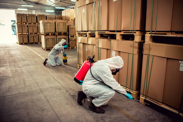 Best Pest Inspection Near Me  in Black Creek, WI