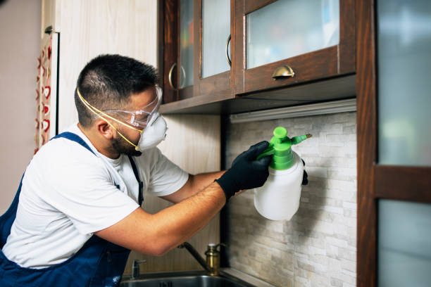 Best Mosquito Control Services  in Black Creek, WI