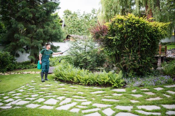 Flea Control Services in Black Creek, WI