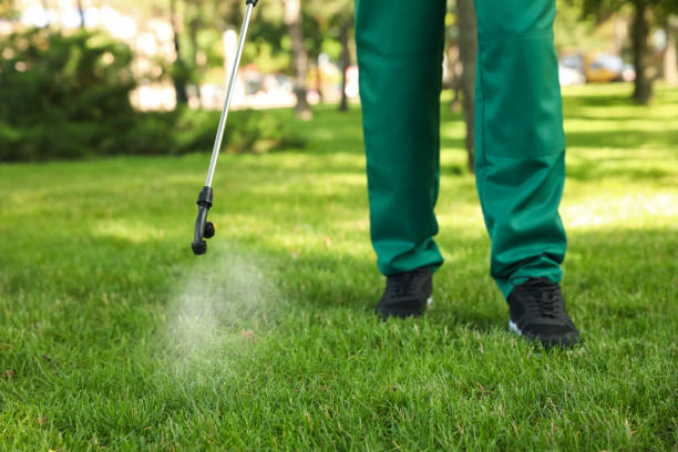 Best Cockroach Control Services  in Black Creek, WI