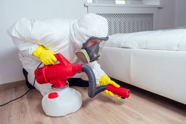 Best Pest Prevention Services  in Black Creek, WI