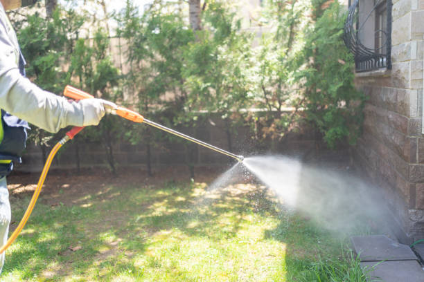 Professional Pest Control in Black Creek, WI