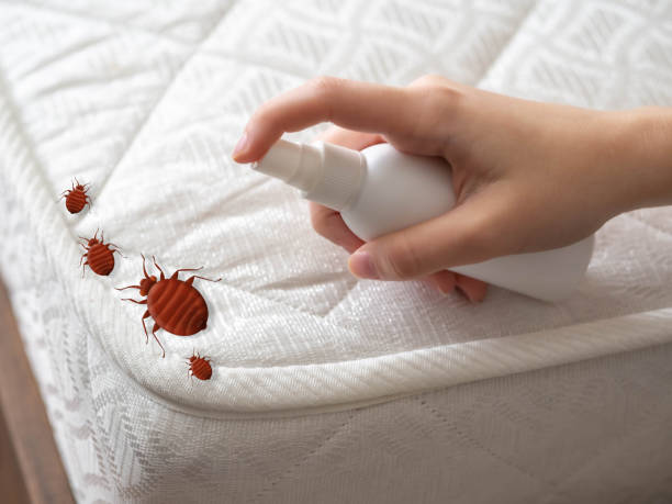 Best Affordable Pest Control Services  in Black Creek, WI